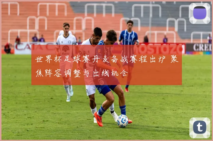 世界杯足球赛丹麦备战赛程出炉 聚焦阵容调整与出线机会